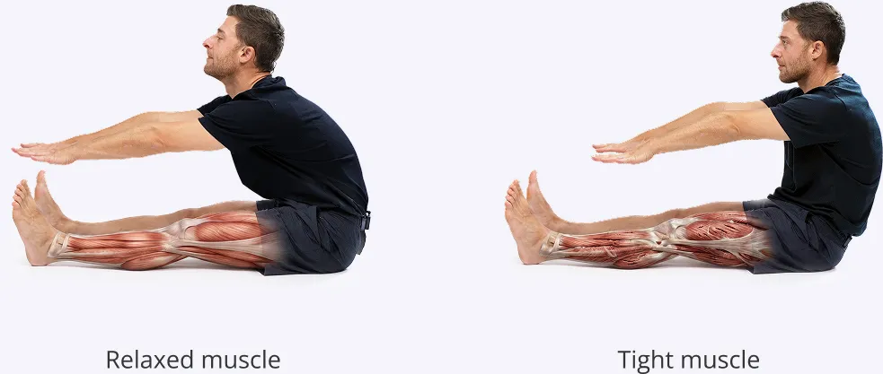 Flexibility is an Anti-Aging Superpower